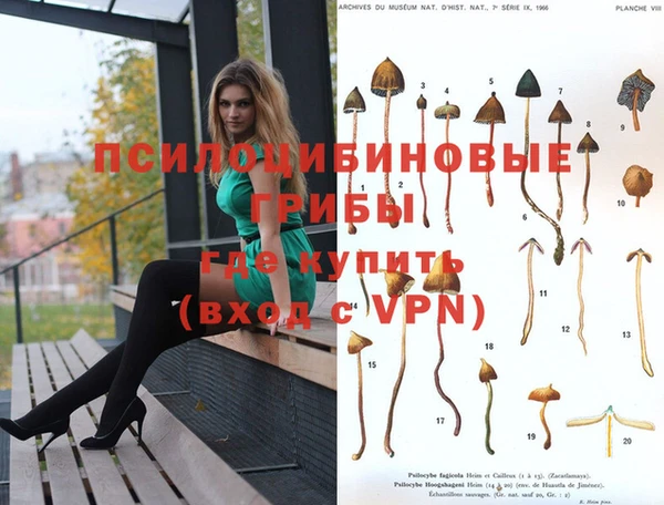 бошки Аркадак