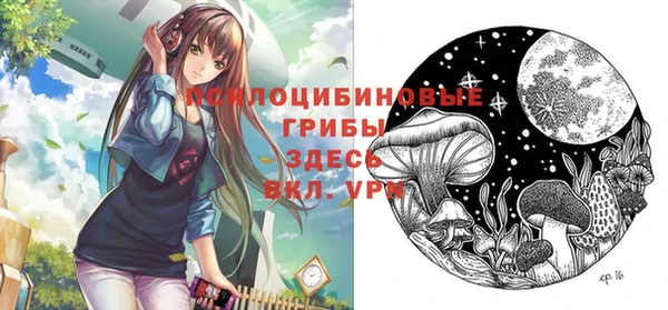 мяу мяу мука Арсеньев