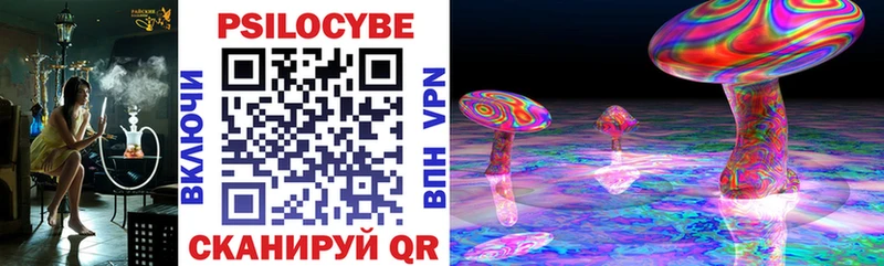 Купить где  Ступино  Галлюциногенные грибы Psilocybine cubensis 